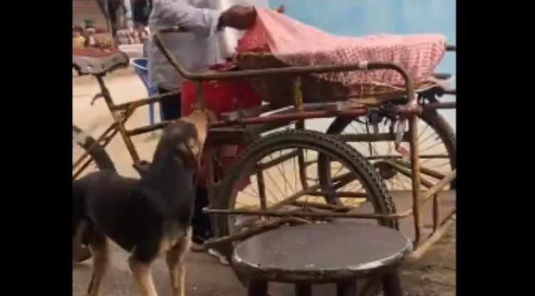 Perro-exige-dueños-compren-pan-así-fue-momento.jpg