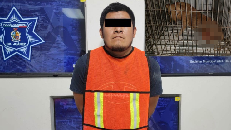 Atacó perro en Ciudad Juárez.jpg