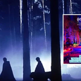 Harry Potter llega a México con el Bosque Prohibido: ¿Dónde estará, cuándo abre y cuánto cuestan los boletos?