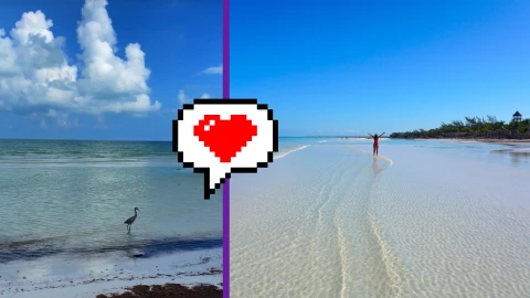 VIDEO _ ¡Ave disfruta del agua cristalina! Así lucen las playas de Holbox HOY 22 de octubre de 2025.jpg