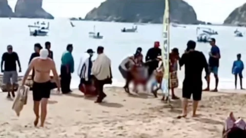 Una mujer de 26 años murió luego de ser atacada por un tiburón en Jalisco.