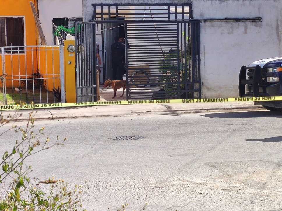 Perro lesionado.jpeg