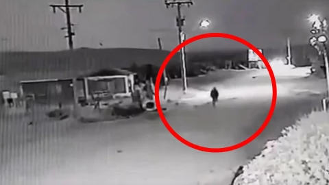 ¿Es un nahual? El video del perro que se transforma en humano: Viral