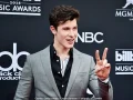 Shawn Mendes y Hailey Baldwin no fueron juntos a los Premios.