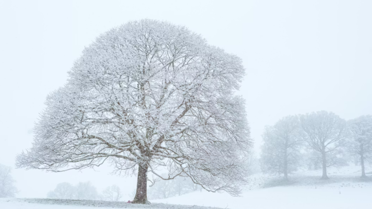 ¿Cómo se dice “nieva” o “neva”? Aquí la forma correcta