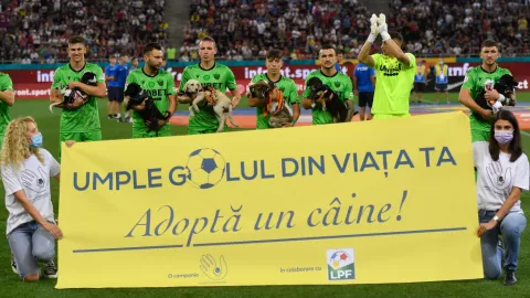 Federación rumana de futbol presentará en cada partido perritos para promover la adopción.