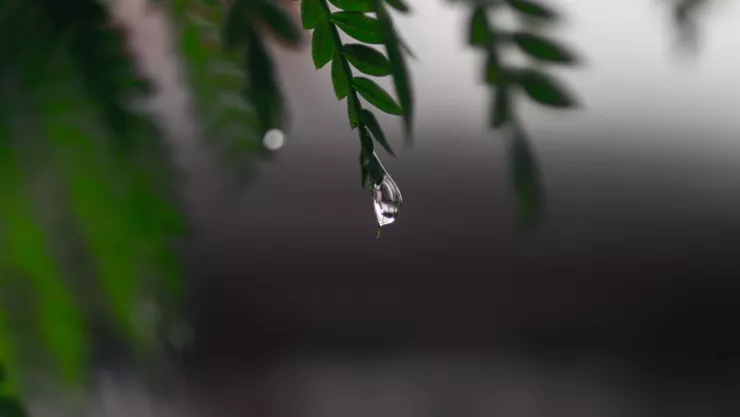 temporada de lluvias en queretaro.jpg