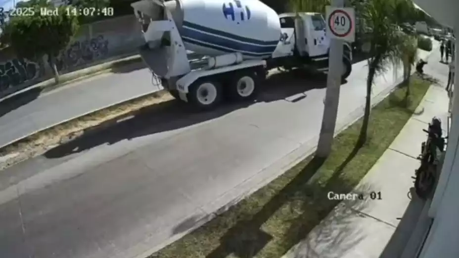 Atropellado León.jpeg