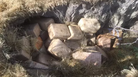 Encuentran marihana en ensenada