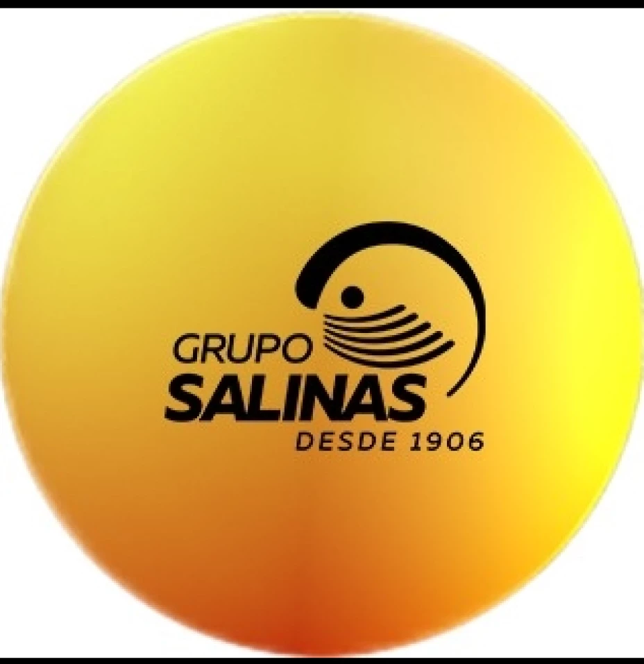 Grupo Salinas.png