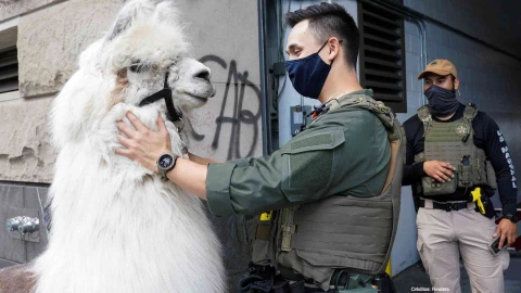 llama manifestaciones racismo portland .jpg