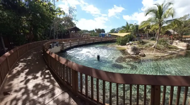 Una vista panorámica de un lago del parque acuático