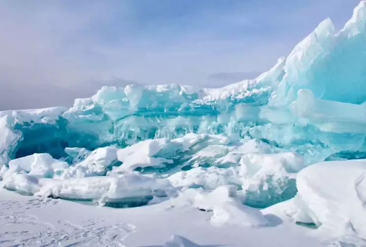 Descubren virus zombie en Siberia; estuvo congelado por años