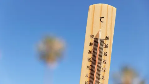 Clima Tijuana calor