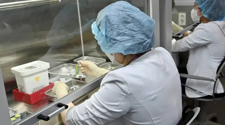 pfizer ensayo tratamiento via oral .jpg