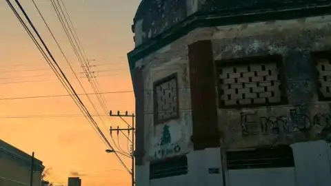 pino asi luce actualmente