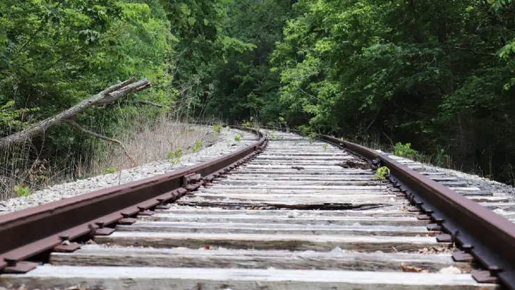 Los vagones de tren ubicados junto al Cordelia Junction Antique Mall se encuentran cerrados desde el 2023