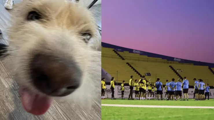 esto se sabe del hackeo facebook venadoa de merida