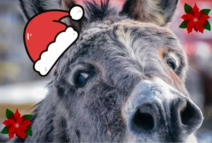 Historia y significado de El Burrito Sabanero: villancico navideño que no puede faltar en los hogares mexicanos