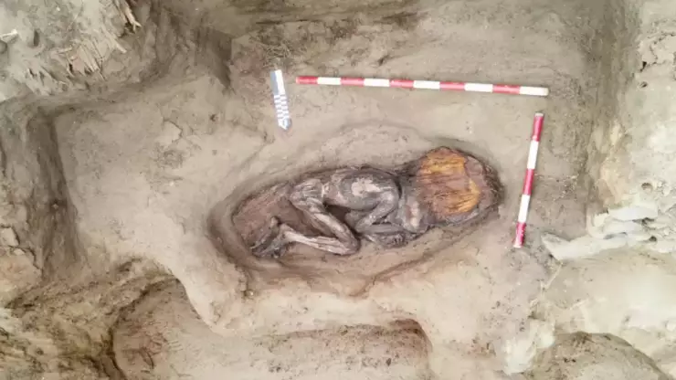 ¿De dónde está la momia encontrada en Perú?