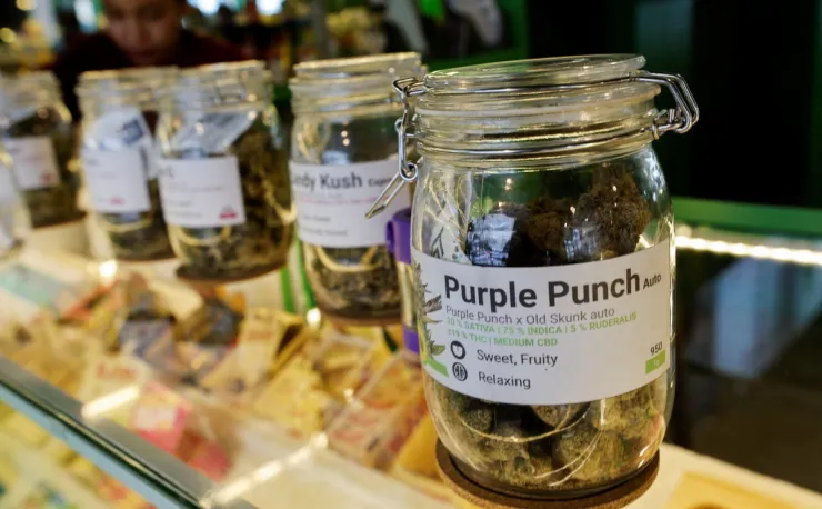 Otorgan licencias para vender marihuana en Nueva York
