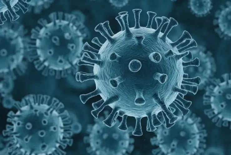 Metapneumovirus humano en México.jpg