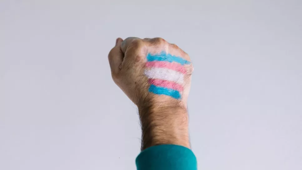 mano de un hombre con una bandera de la comunidad trans pintada