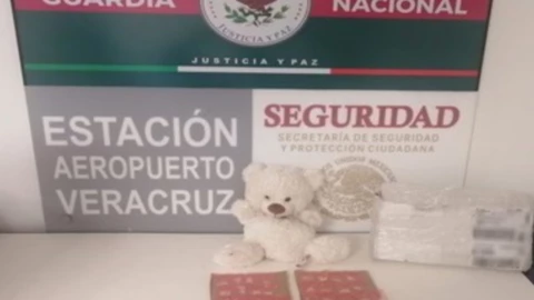 oso-peluche-guardia-nacional.jpg