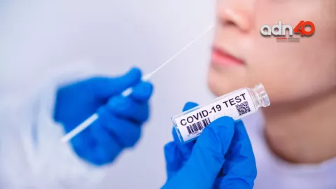 Perro del infierno: Cuáles son los síntomas de la variante COVID-19