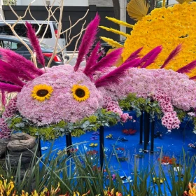 Festival Flores y Jardinería 2022 Polanco