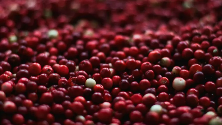 La fruta que contiene más vitamina C y no es la naranja