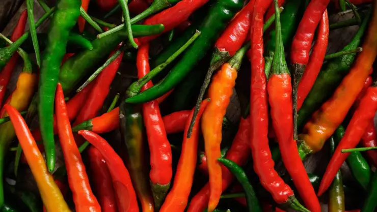 Chile más picoso del mundo