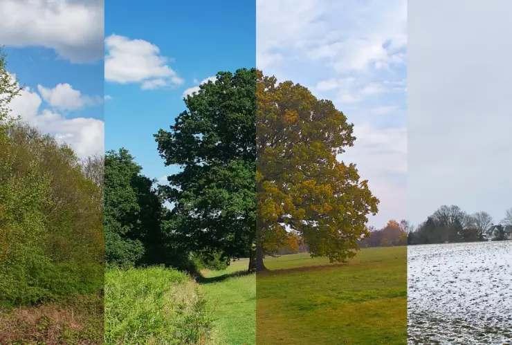 Pronosticos de las cabañuelas en 2025