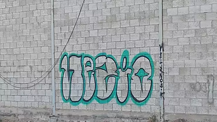 WhatsApp Image 2025-03-12 at 11.36.03 PM.jpeg