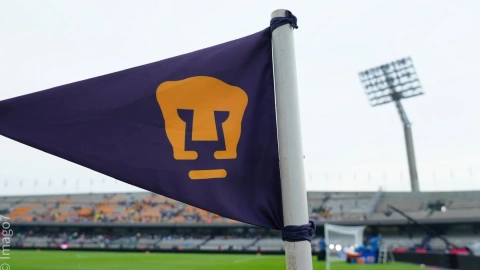 Pumas