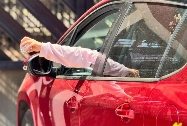 multas por basura desde el auto