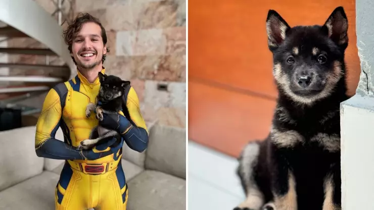 Memo Aponte es acusado por sus exnovias de maltrato animal