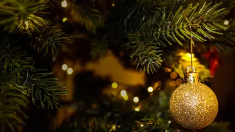 navidad