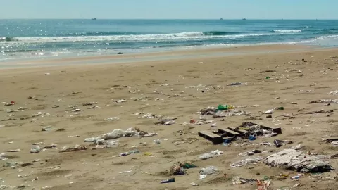 Vacaciones 2022: Aquí las playas mas sucias de México, según la Cofepris
