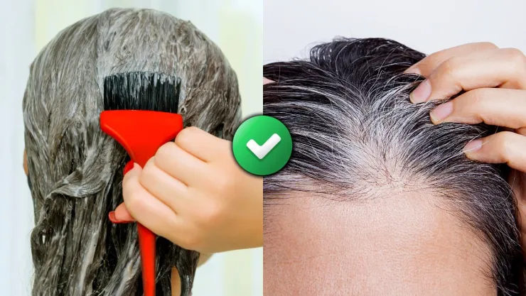 /estilo-de-vida/tinte-casero-suavizar-canas-sin-quimicos-agresivos