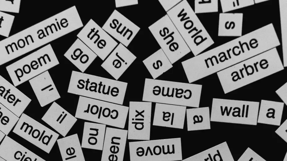 Letreros con diversas palabras en inglés y francés.