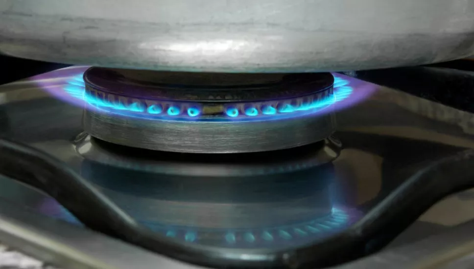 ¿Cuál será el precio del gas LP en Mexico del 18 al 24 de agosto?