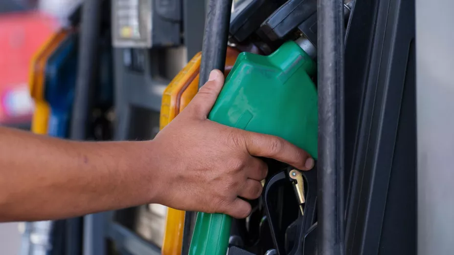 Gasolina