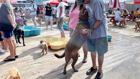 Yappy Hour