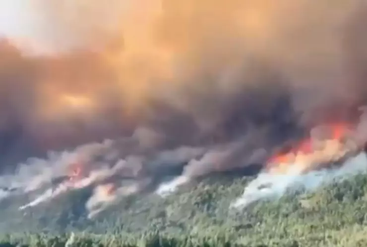 ¡De película de terror! Evacúan a 3 MIL PERSONAS por fuerte INCENDIO FORESTAL, hoy 7 de enero (VIDEO FUERTE).jpg