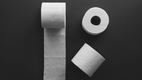 Papel Higiénico
