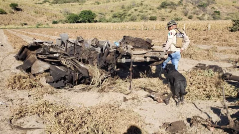 14 muertos por la explosión de una pipa de gas en la autopista Guadalajara-Tepic
