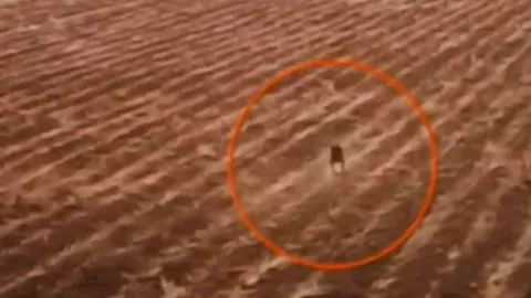 Captan en video a ‘chupacabras’ y ganado muerto en Bolivia
