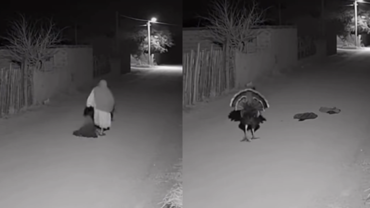 Mujer se hace guajolota