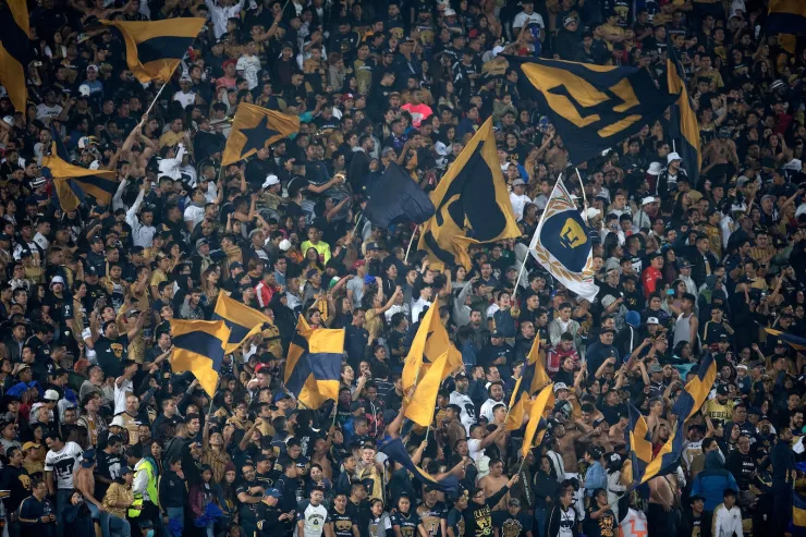 Pumas